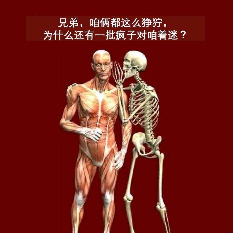 闲聊解剖