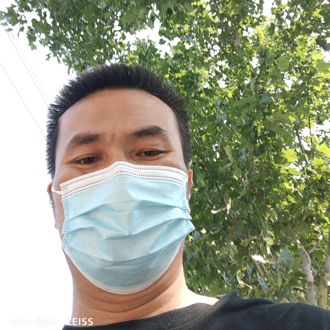 免费鉴定：各种名贵木料