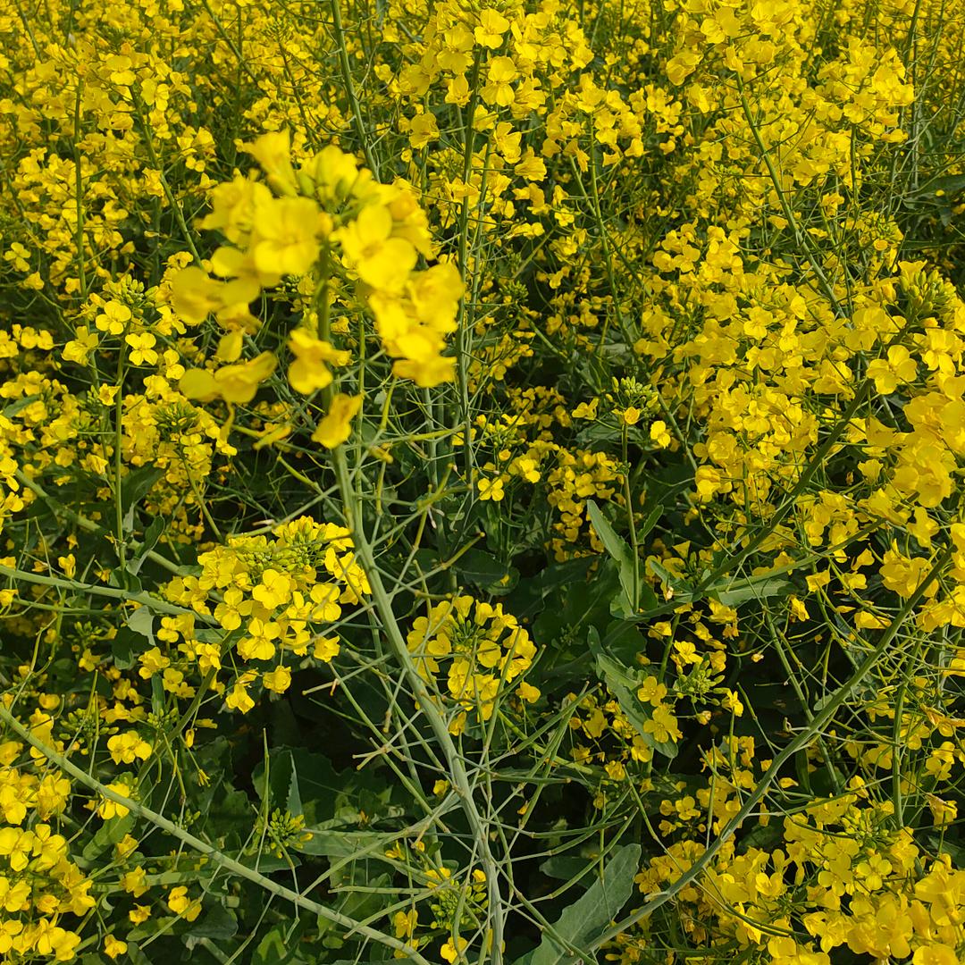 水泥矿山机械配件