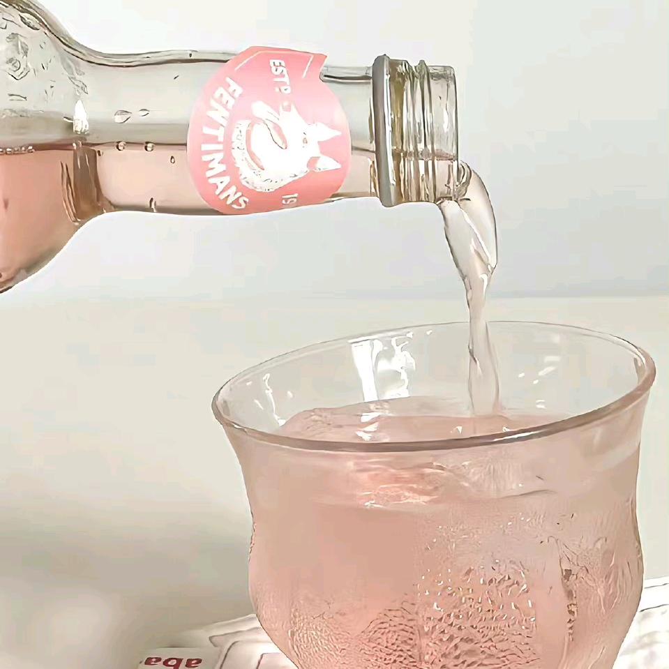 波力海苔