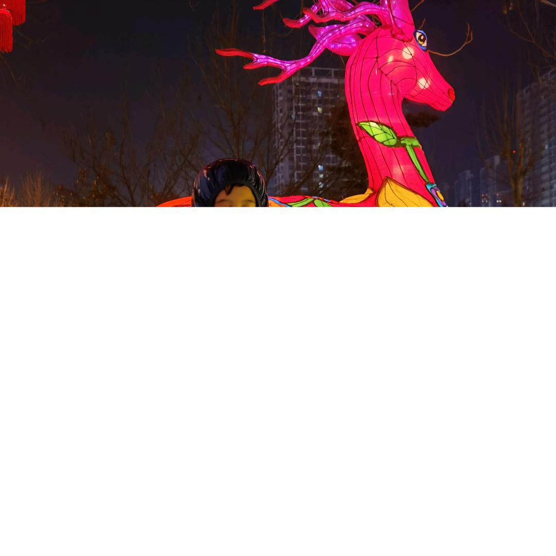 刘长辉