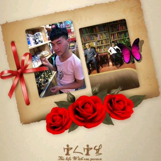 龙龙