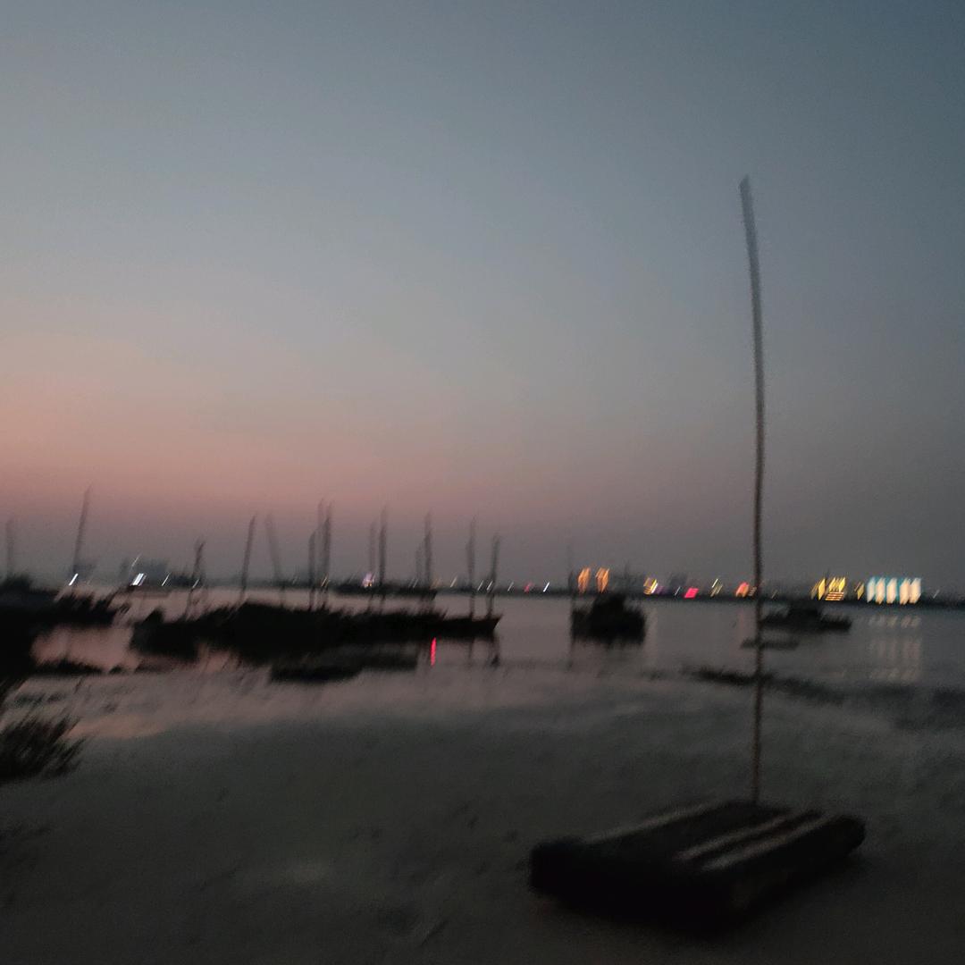 渴死的鱼…