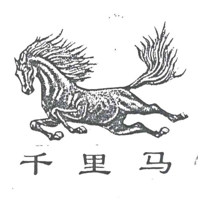 ( ﹡ˆ千里马136