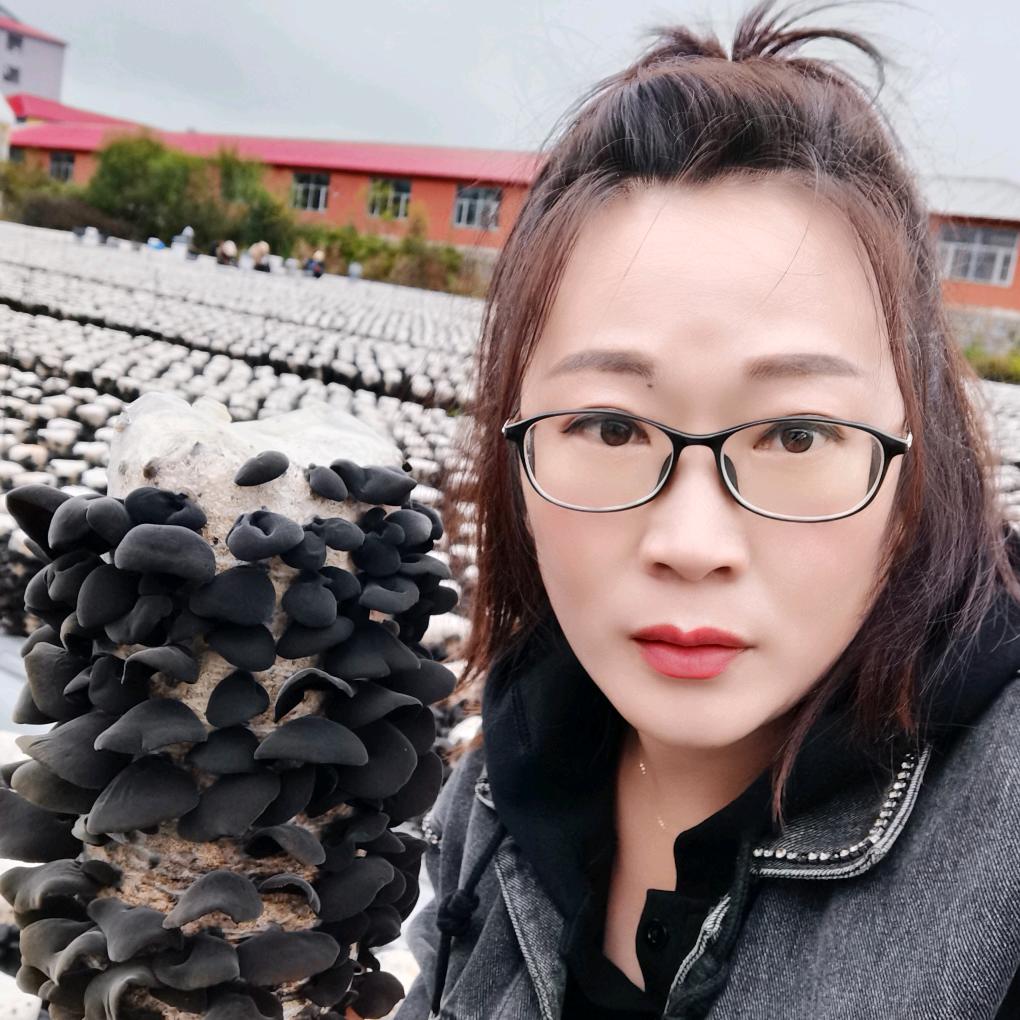小田东北特产