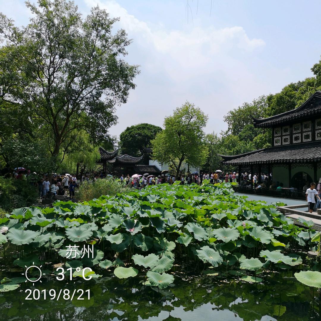 沧海一粟