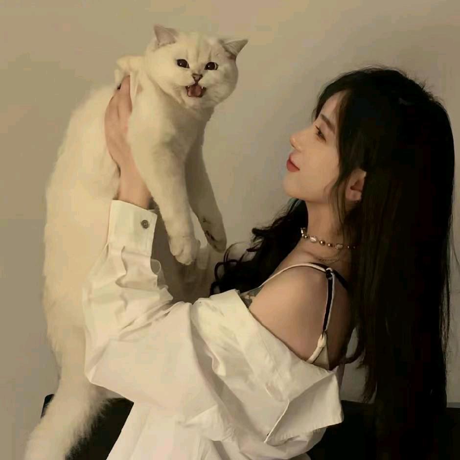 小sun