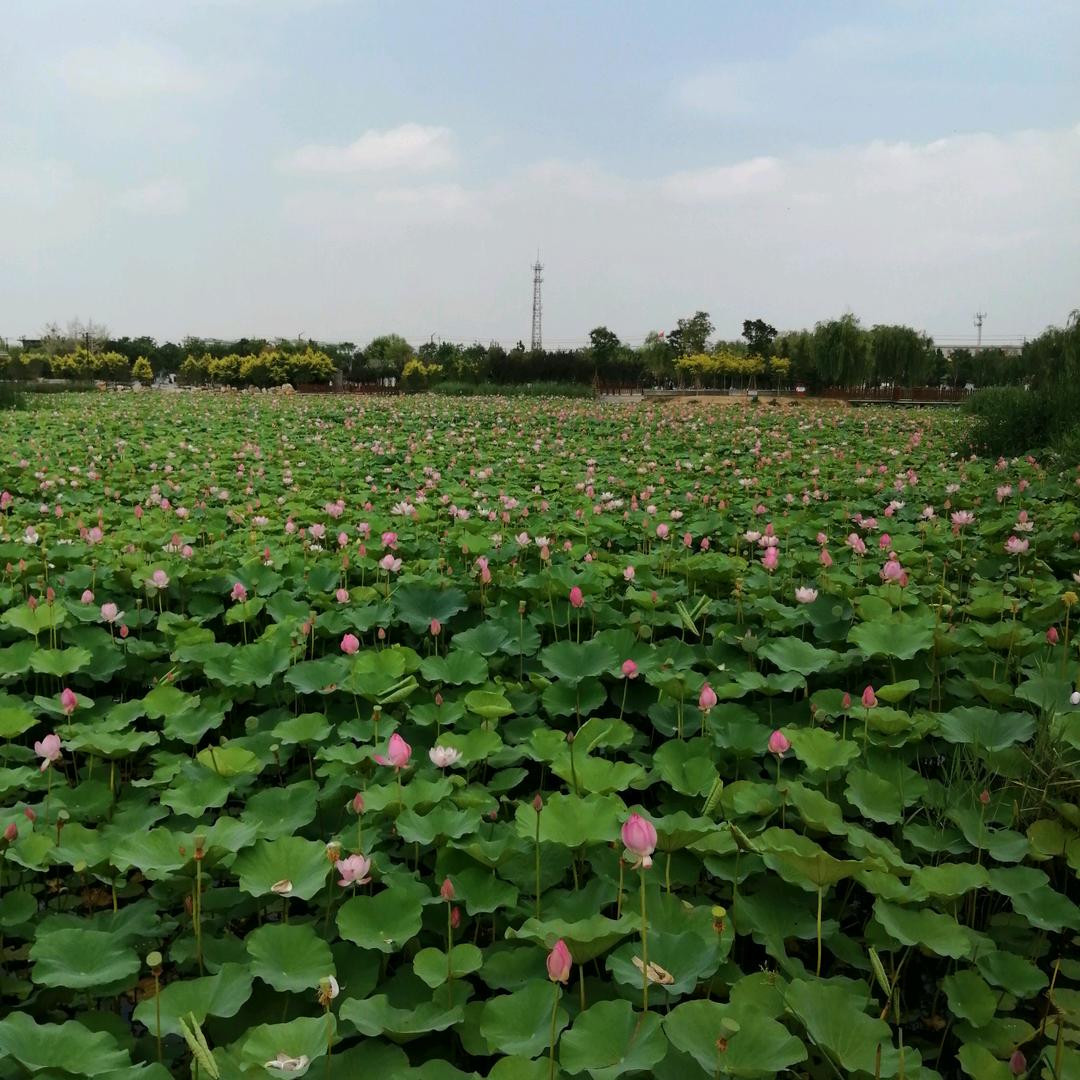 常常