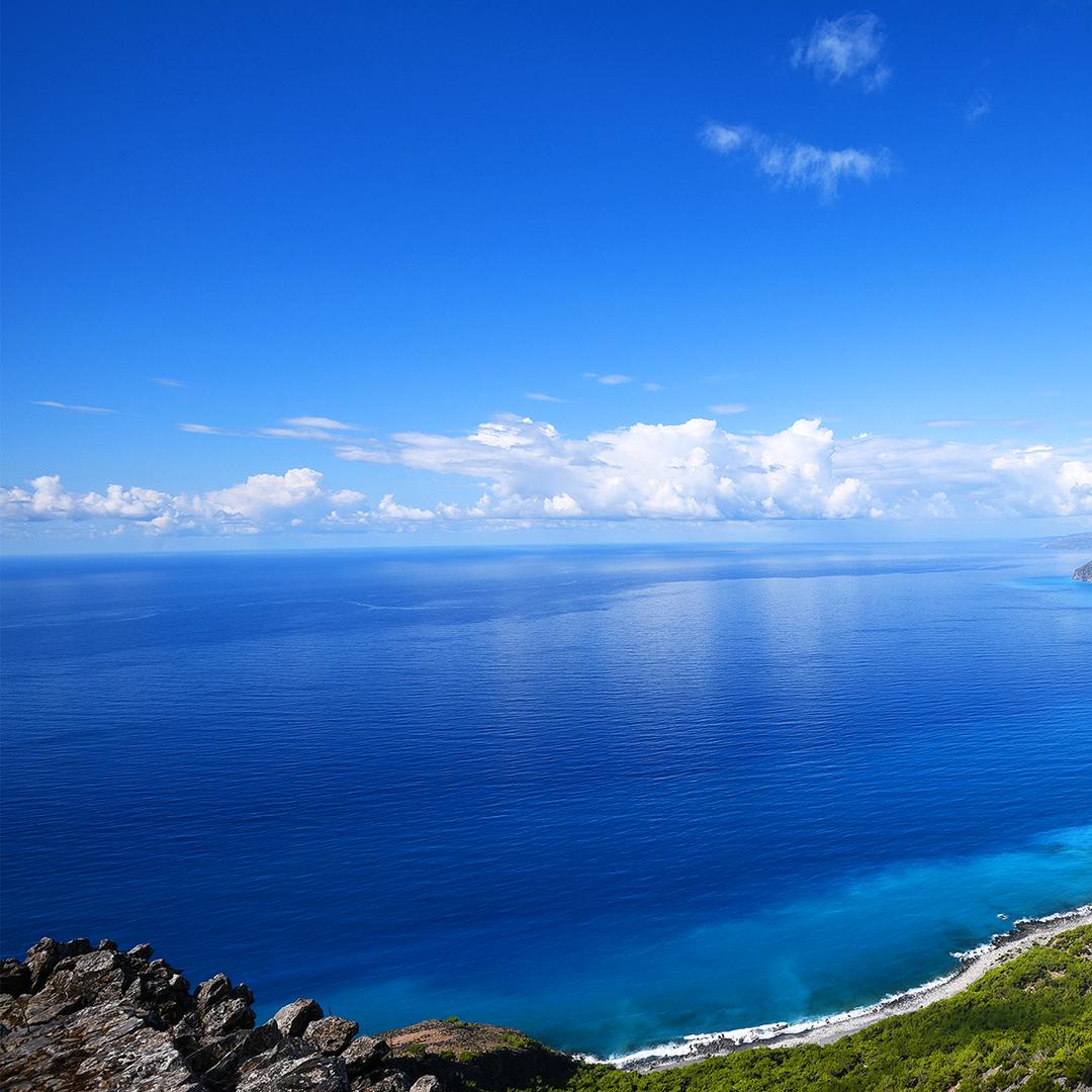 🐸🐸@随性自由