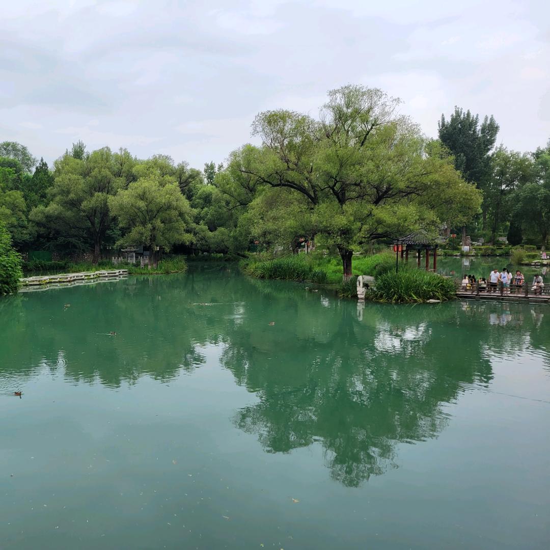 小鋒