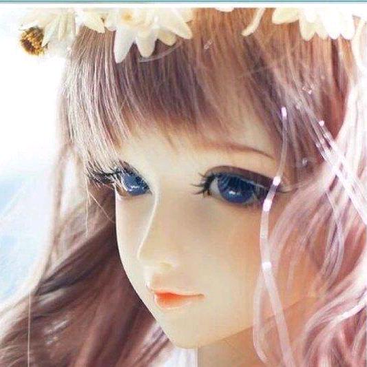 往北的地方海未眠