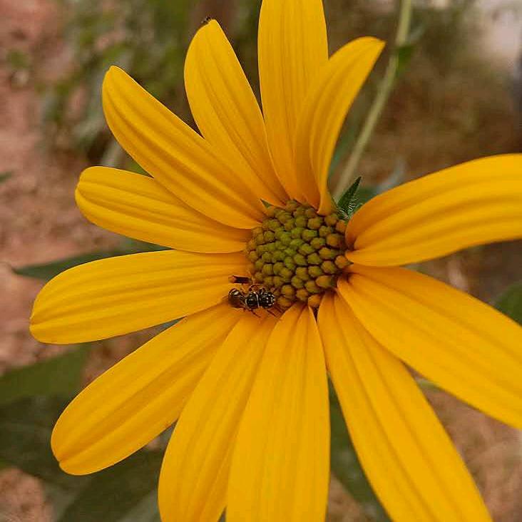 老杜（请勿连赞）