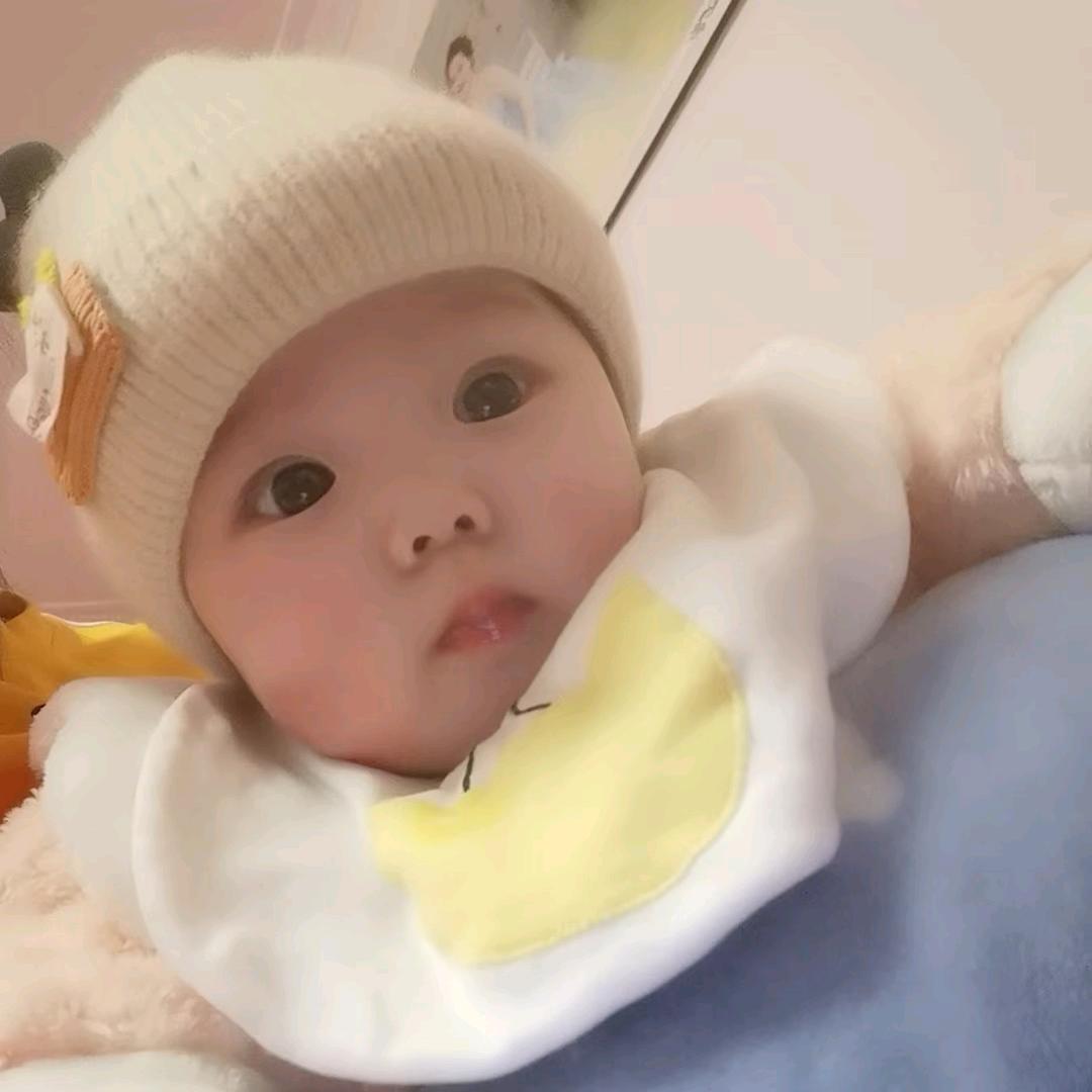 八两哥