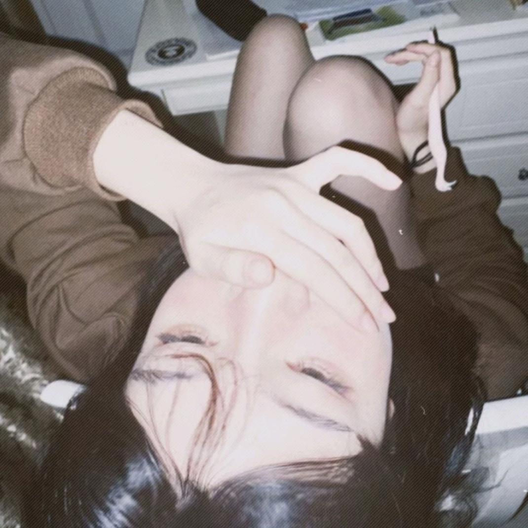 一条脆脆鲨