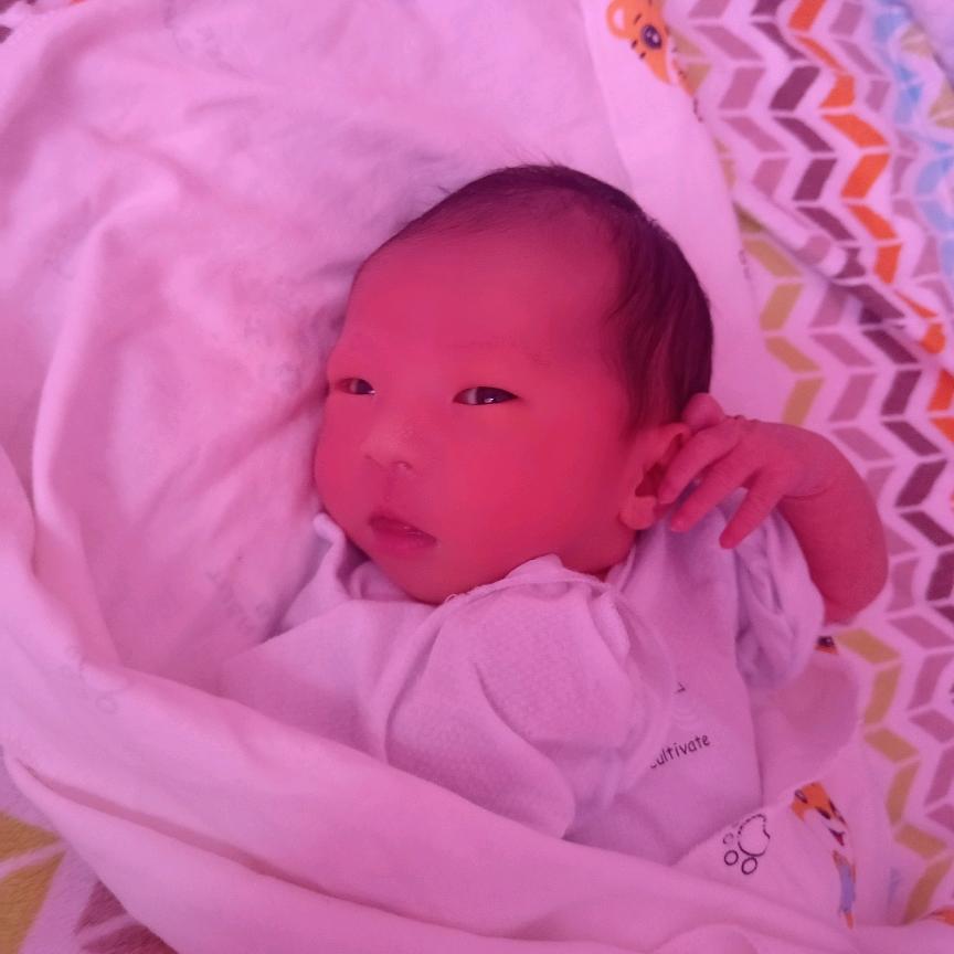 丫丫小姐姐vs佩琪小妹妹