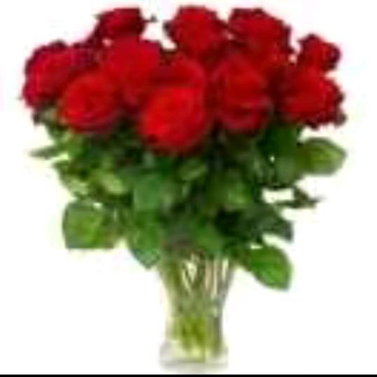 🌸带刺的玫瑰🌹