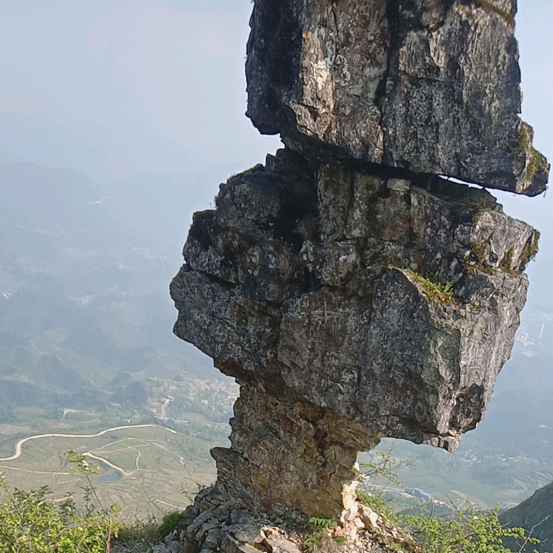 为了孩子，坚持……