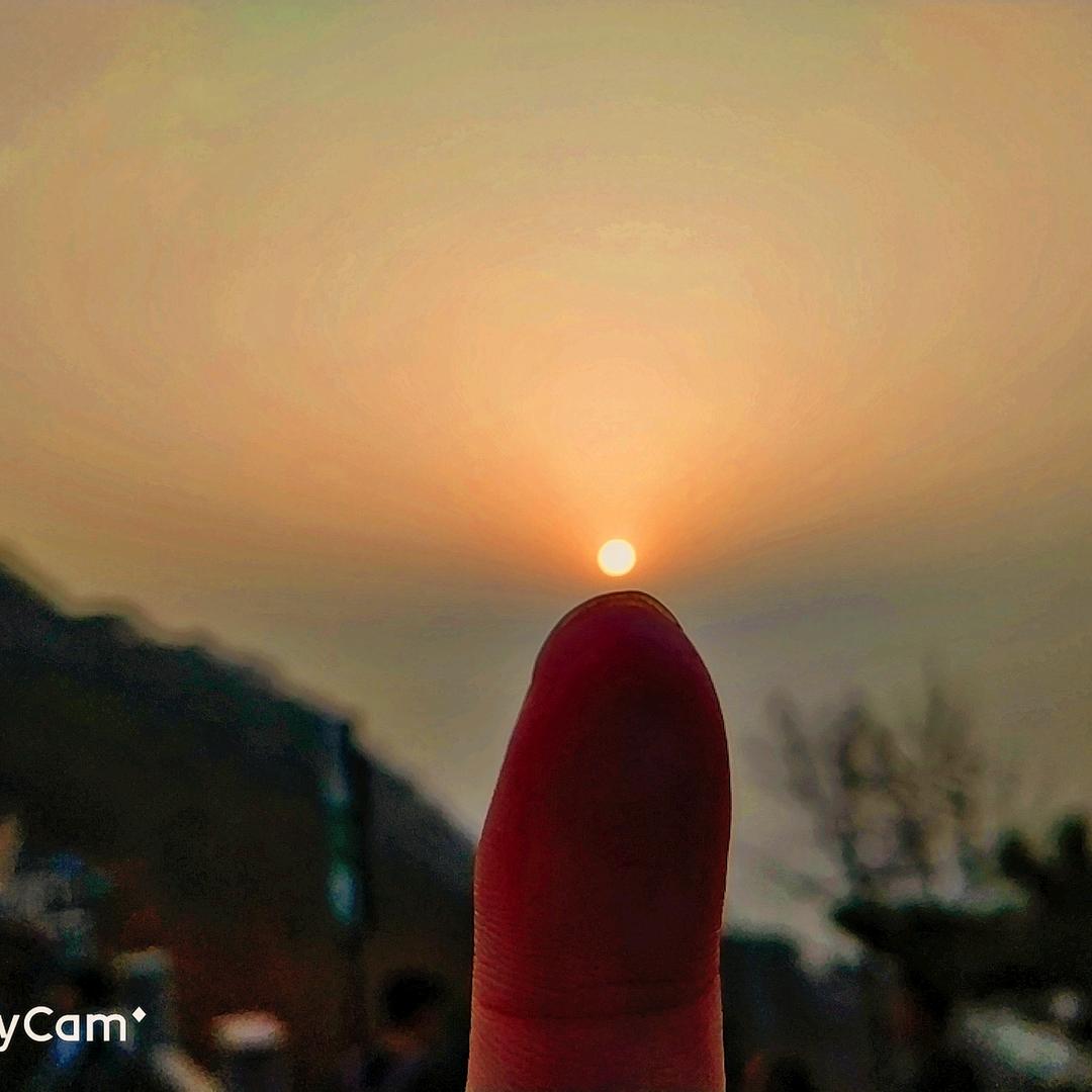 看报养花溜二哈