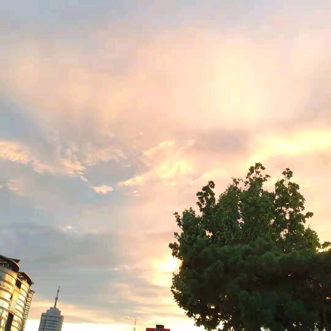 春雨