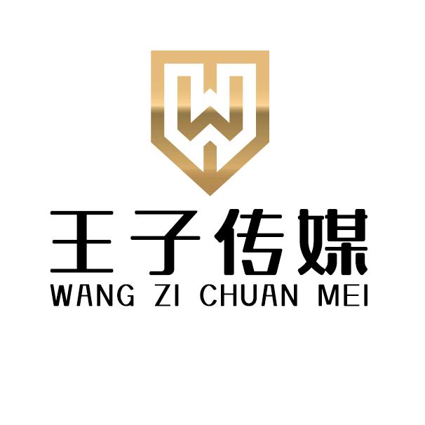 湖南王子传媒