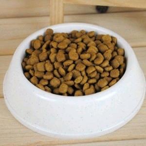 过期的狗粮