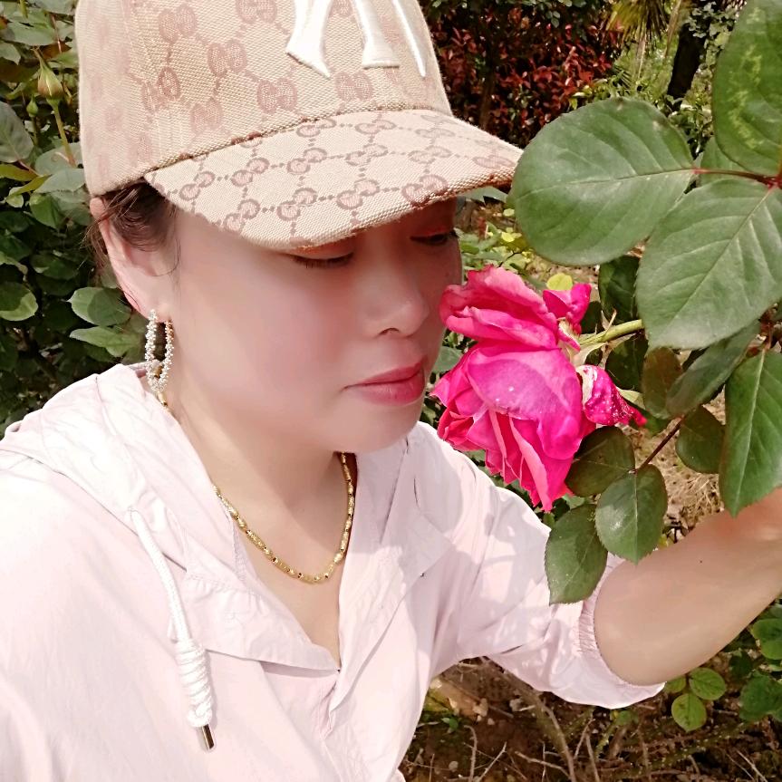 铿锵玫瑰🌹
