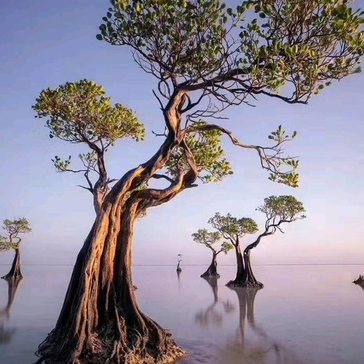 是我不该走进你的世界