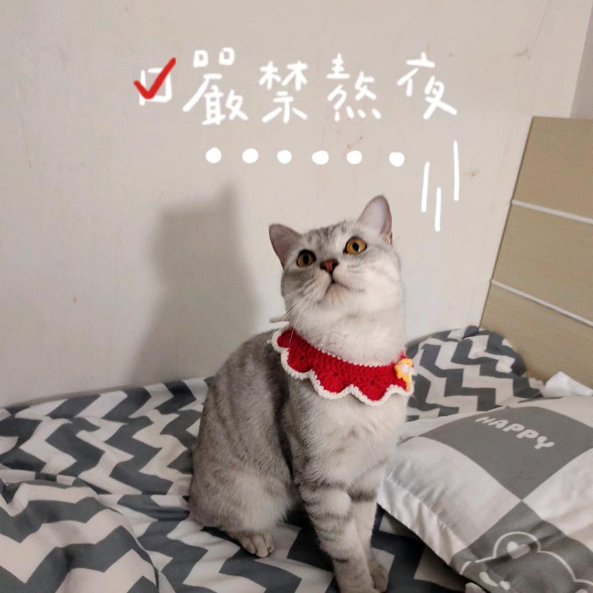 崔崔晚风叭