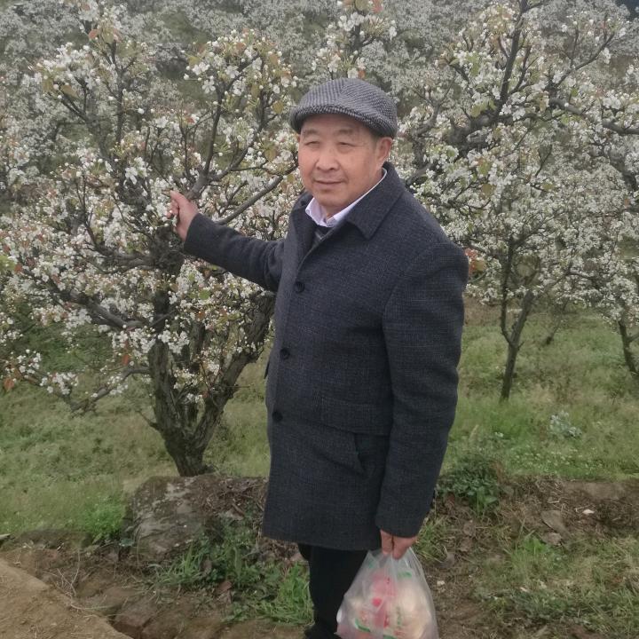 友人李德全
