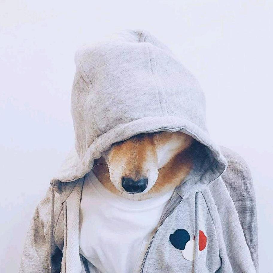 梦与尘