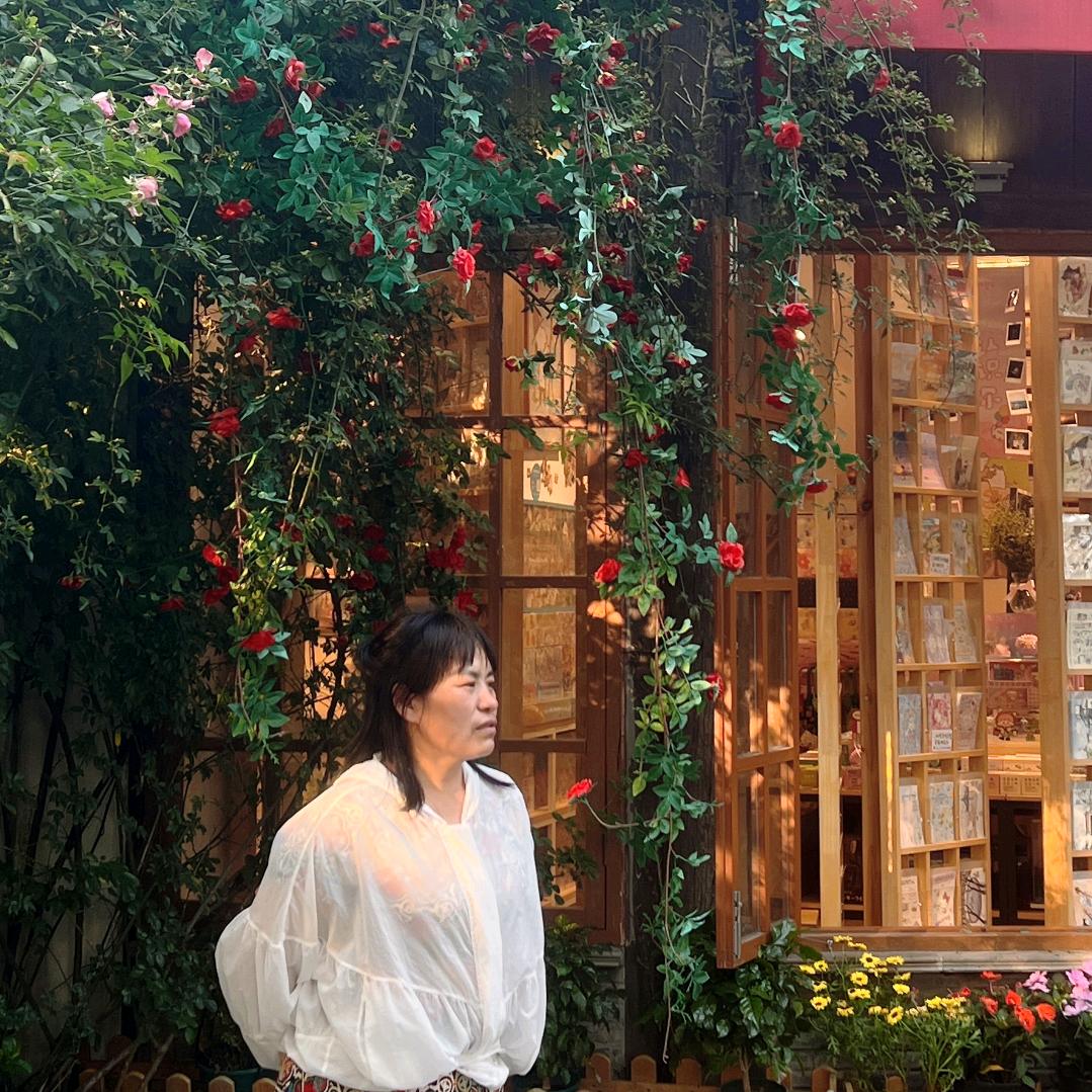 芙蓉花