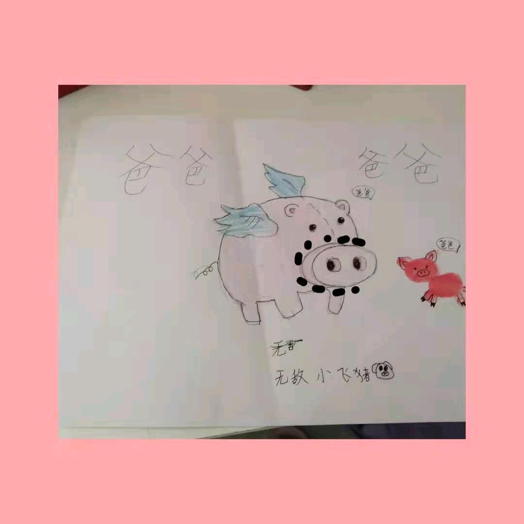 无敌小飞猪🐷