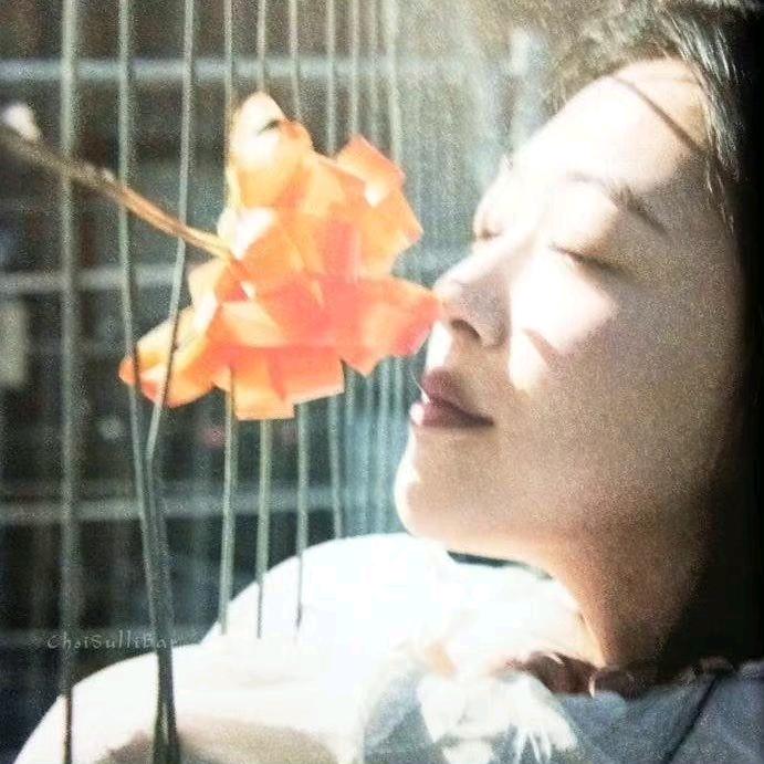赫尔希会笑栗壳