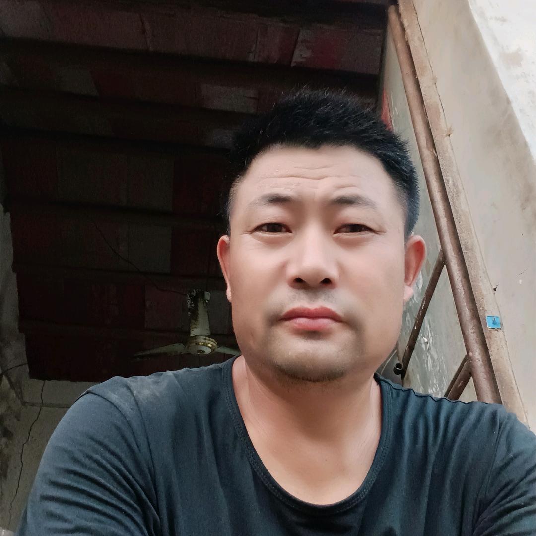 宝哥