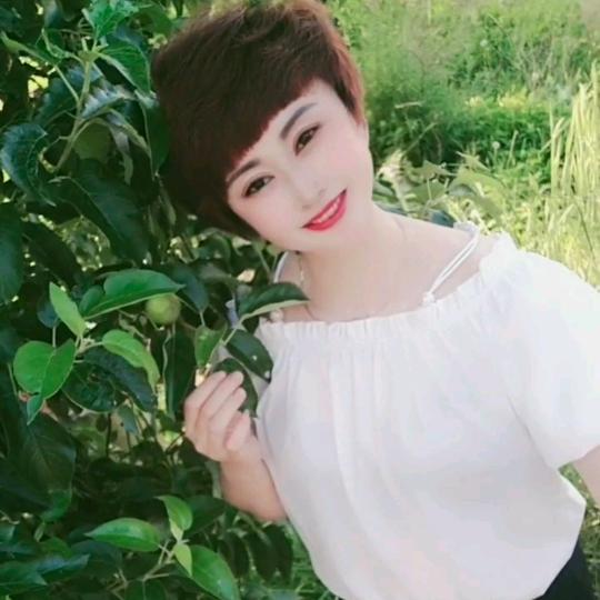 ☘️莉莉☘️
