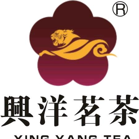 绿色记忆