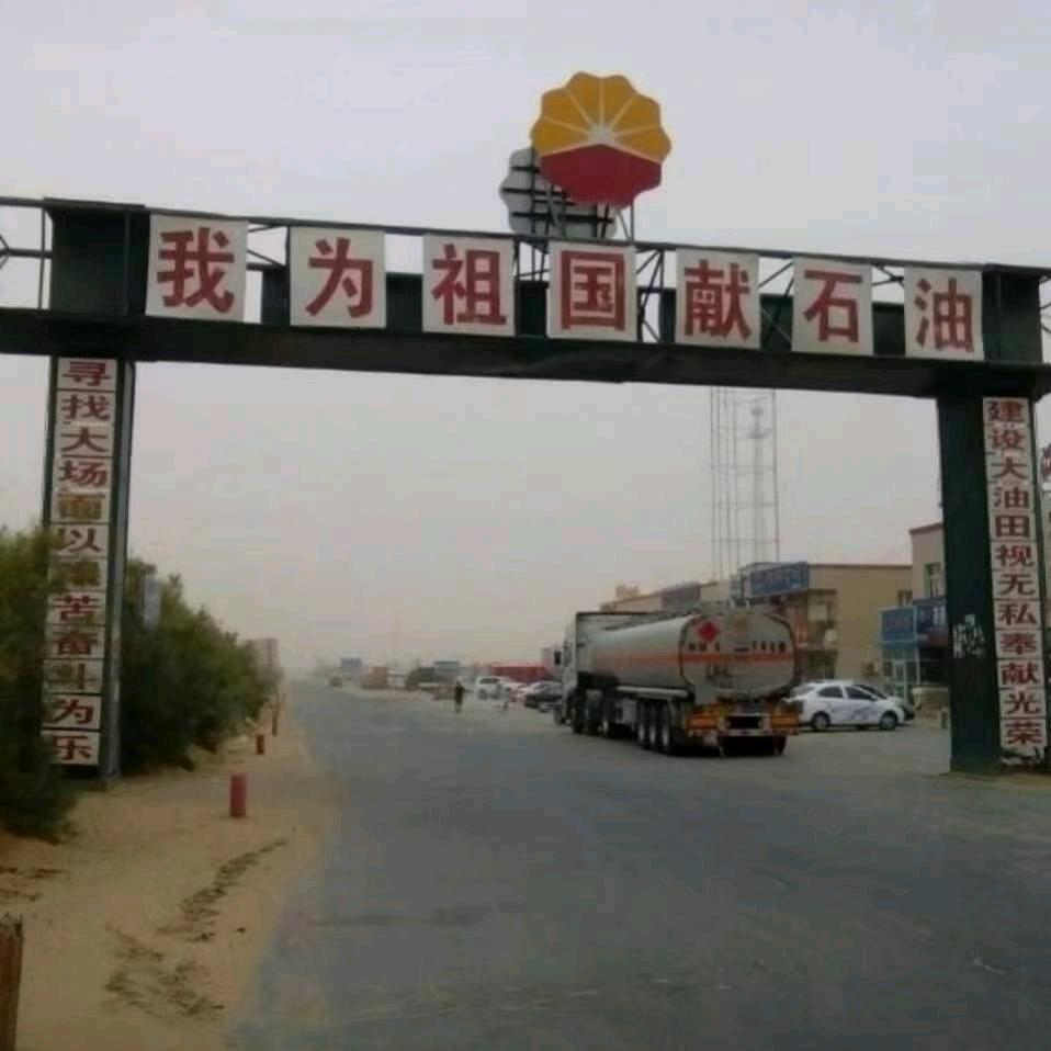 沙漠狂野