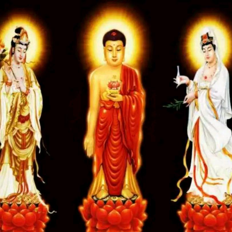江湖浪子王少