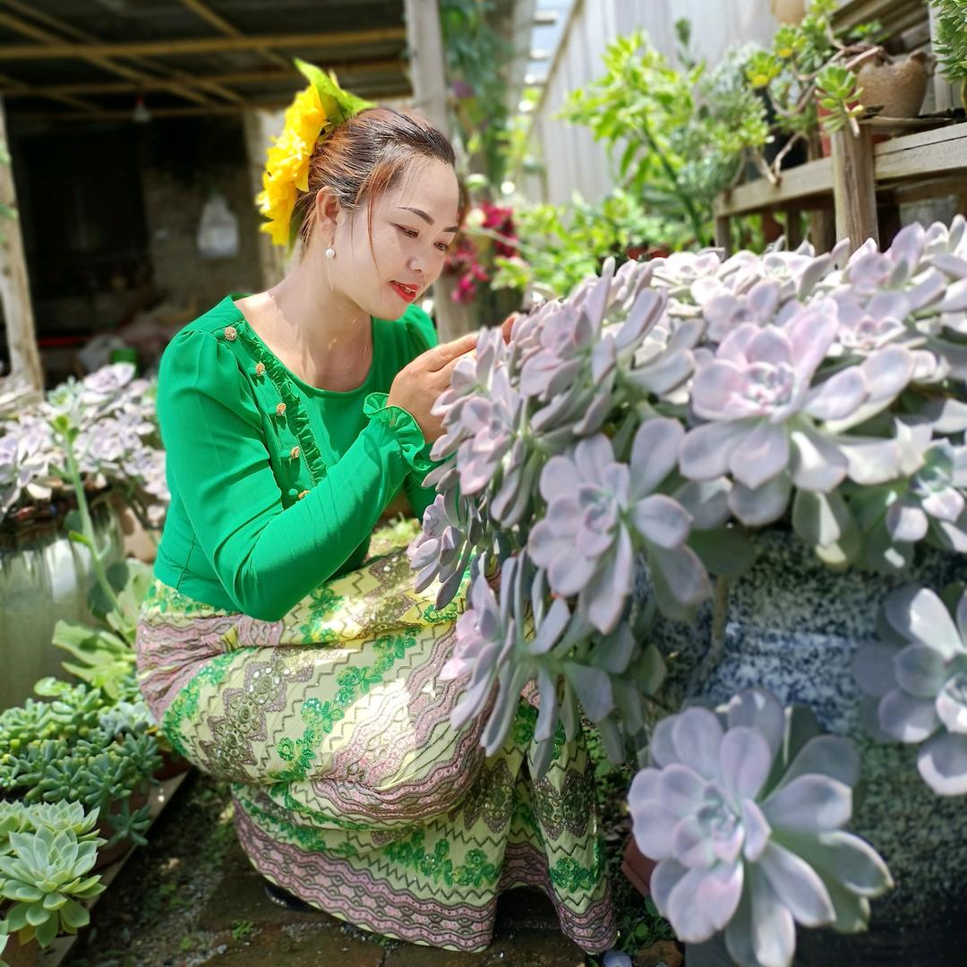花好月圆多肉花