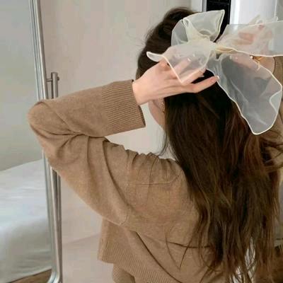 小宝😁