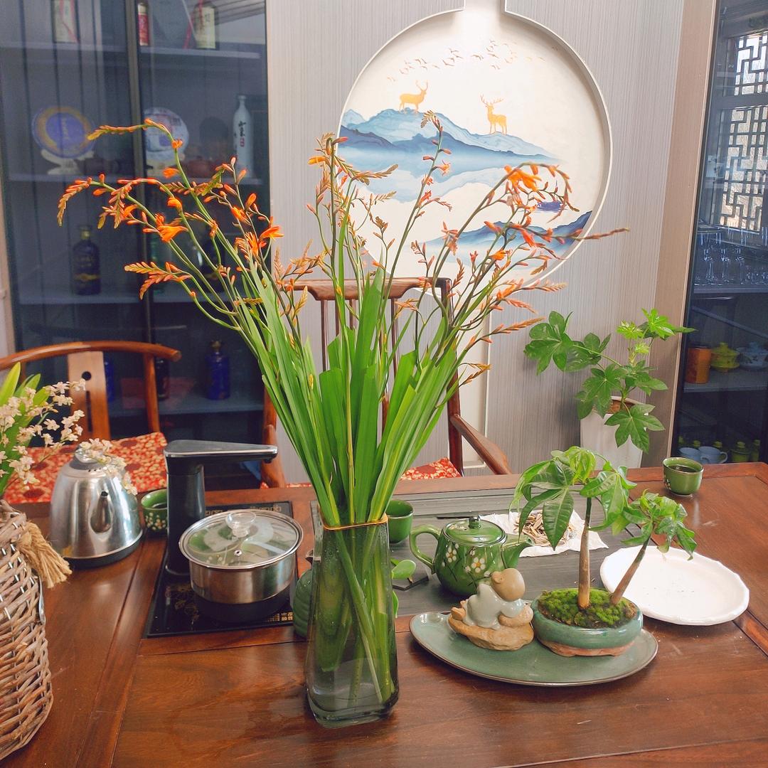 明月清泉.嘉园古村落