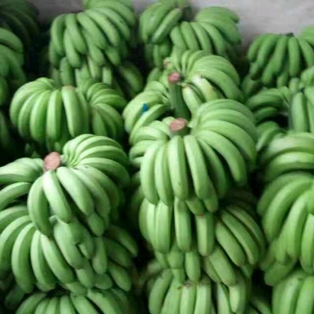 香蕉批发
