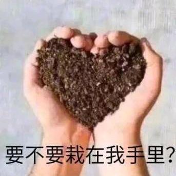 我愿随风而逝