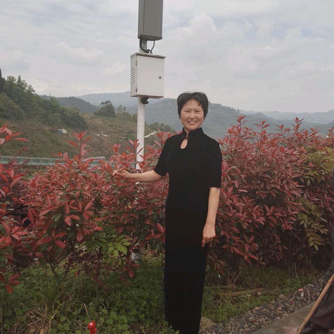 樵老爷