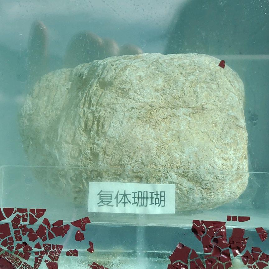 玉