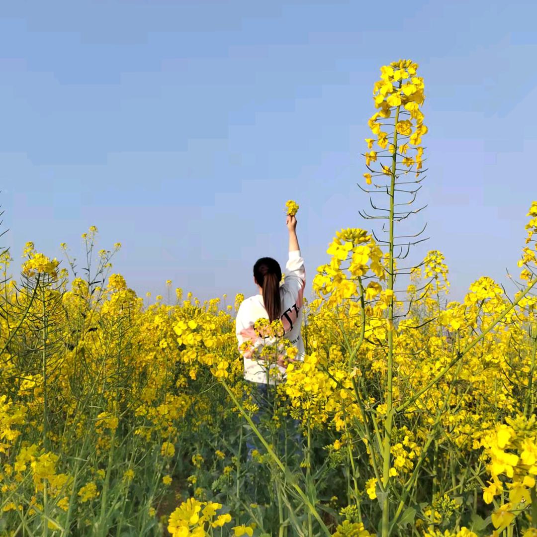 阿凤姐特色脆鱼