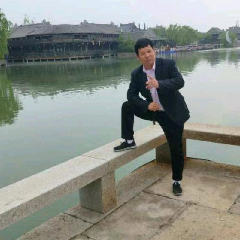 王振河