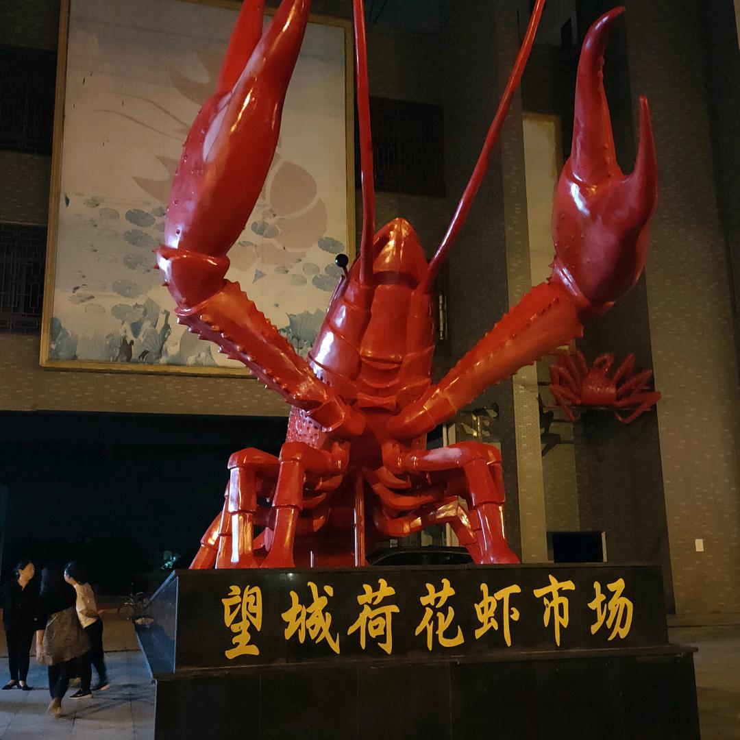 缝纫机维修和买卖！
