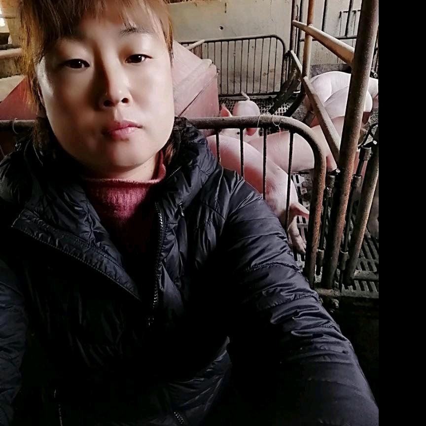 农村养猪人老孟