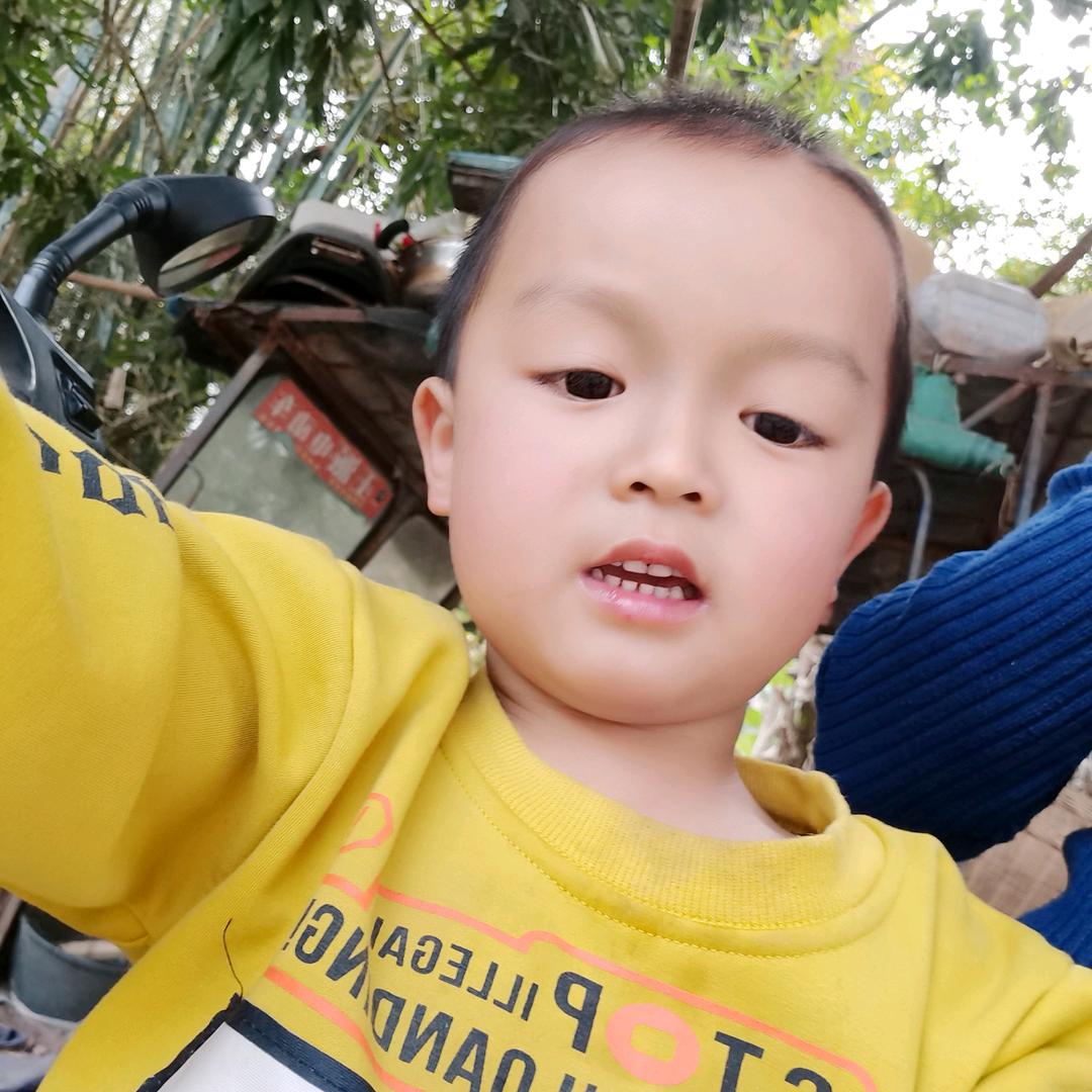 不懂的人头像